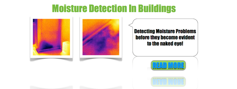 Detecting Moisture Problems In Buildings